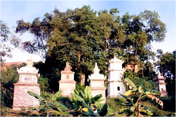 Vườn tháp Tổ